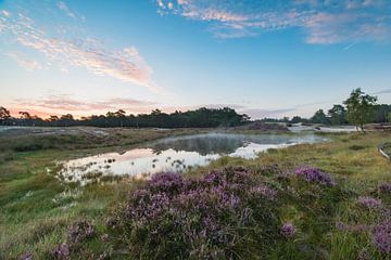 Bosvijver op landgoed heidestein! van Peter Haastrecht, van