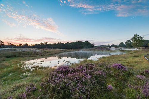 Bosvijver op landgoed heidestein!