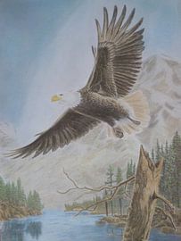 Eagle von Edith Boogaard van den