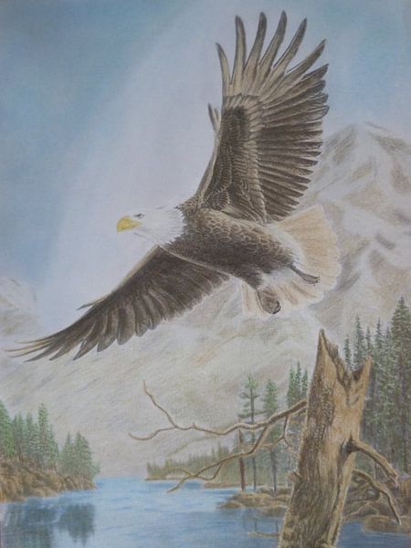 Eagle by Edith Boogaard van den 