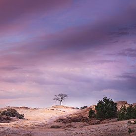 Pastel shades over the moors by Maayke Klaver