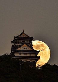 Nagoya Freunde der Mond