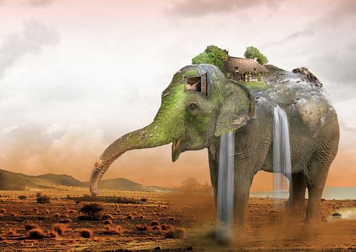 Mobile home by Dray van Beeck