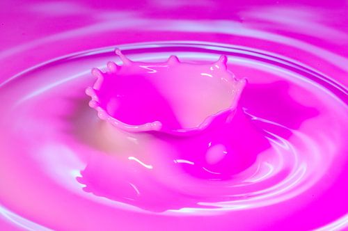 Pink Splash