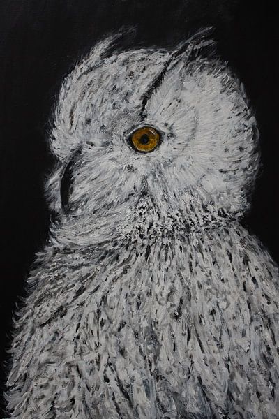 Witte Uil , geschilderd in  een stijlvolle, zwarte achtergrond van Ankie Jochems