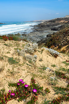Fishermen’s Trail Portugal – atemberaubende Küstenfotografie mit Meer, Klippen und Wanderweg.