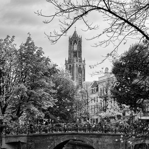 De Dom van Utrecht gezien vanaf de Oudegracht in het vierkant
