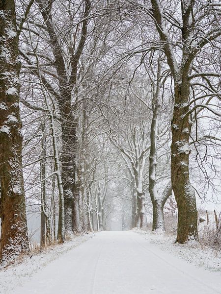 Winterzauber von Holger W. Spieker