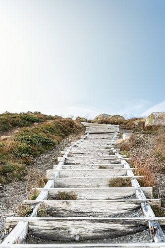 Une photographie de paysage pleine de charme montrant l'escalier en bois menant aux Lillnipen, en Suède