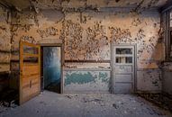doors and colours  van dafne Op 't Eijnde thumbnail