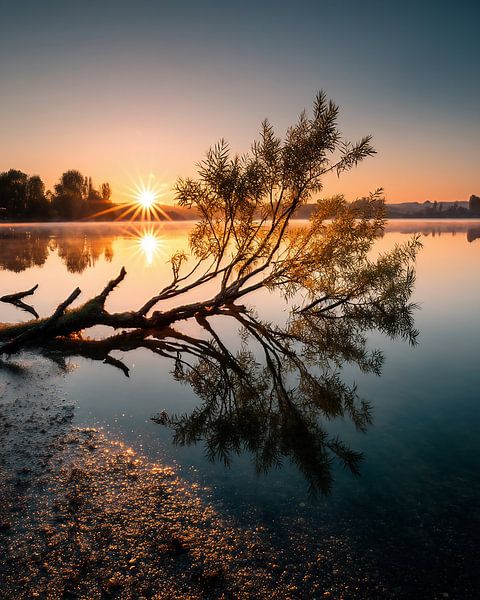 Stille im goldenen Licht von fernlichtsicht