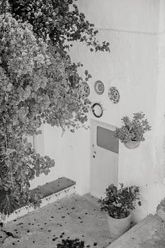 Spaanse bloesem in een karakteristieke oude straat in Almeria van Fotografia Elegante