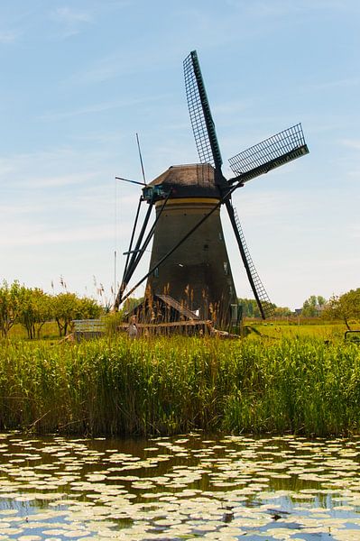 Windmill von Brian Morgan