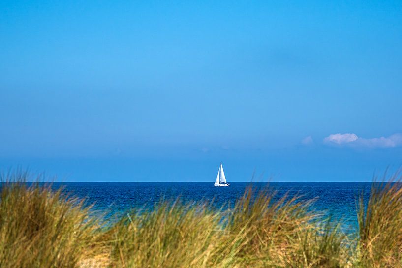 Blick auf die Ostsee mit Segelboot und Düne von Rico Ködder