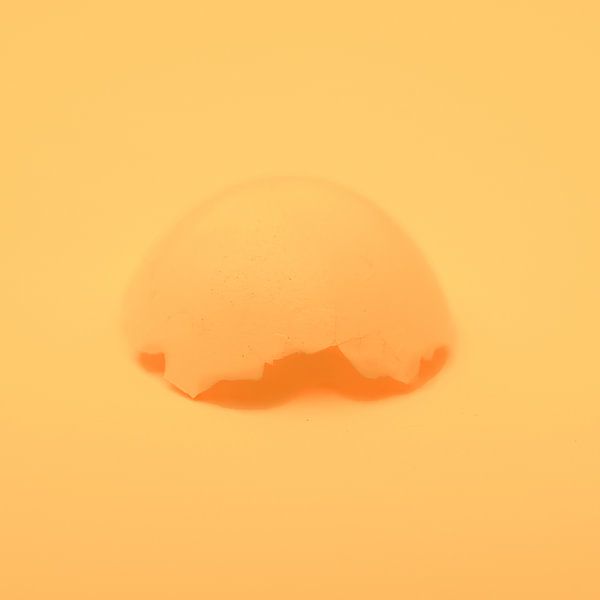 Bird's egg by Jeannine Van den Boer