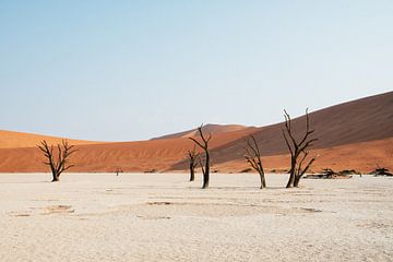 Deadvlei | Namibie, Sossusvlei sur Suzanne Spijkers