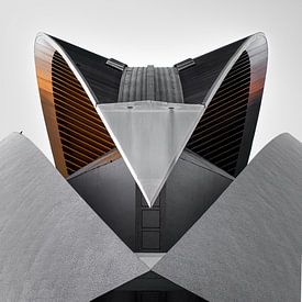 Ville d'art et de science | Valence | Architecture | Photographie de voyage sur Laura Dijkslag