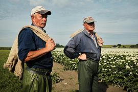 Kartoffelbauern I von Inge Marije de Boer