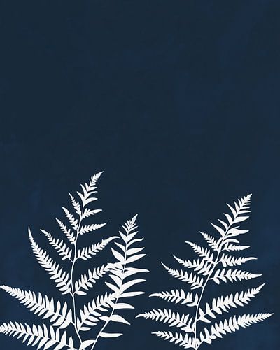 Weiße Farne auf dunkelblauem Hintergrund