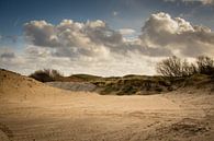 Duinen aan de Nederlandse kust van Marcel Alsemgeest thumbnail