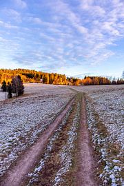 Kleine Sonnenuntergangswanderung zum Ruppberg bei Zella-Mehlis - Thüringen - Deutschland von Oliver Hlavaty