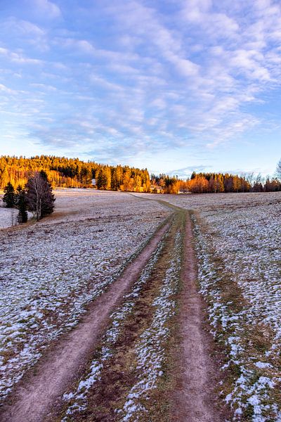 Kleine Sonnenuntergangswanderung zum Ruppberg bei Zella-Mehlis - Thüringen - Deutschland von Oliver Hlavaty