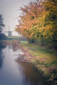 Colors in the mist (Bleiswijk) von Alessia Peviani