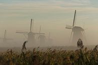 Molens Kinderdijk van Fotografia PB thumbnail