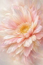 „Gerbera – Blüte voller Licht und Lebensfreude von Sabine Wagner