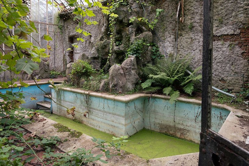 Verlassener Wintergarten mit Schwimmbad von Tim Vlielander