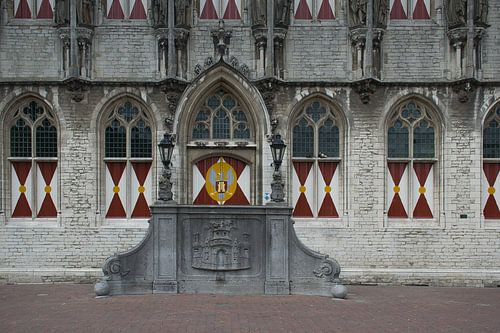 Town hall details