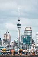 Skyline of Auckland with the Sky Tower and the harbour
