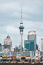 Die Skyline von Auckland mit dem Sky Tower und dem Hafen von Paul van Putten Miniaturansicht
