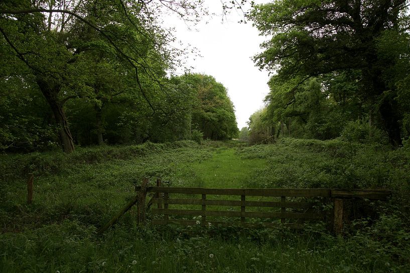 The fence van Herman Peters