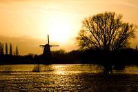 Gouden molen