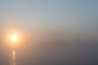 Morning mist on the Lek