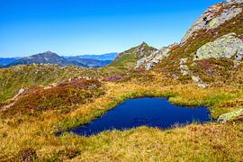 A small heart varnish on the chamois axe