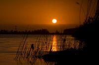 Sonnenuntergang auf dem Boulevard in Bergen op Zoom