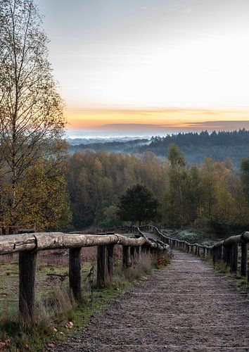 Kwintelooijen part 14