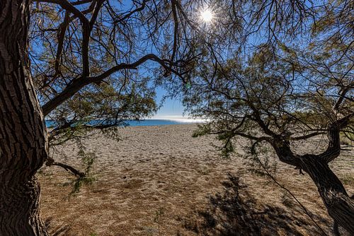 12 uur op het strand van Manilva
