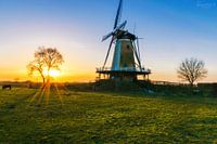 Sunflare with windmill 
