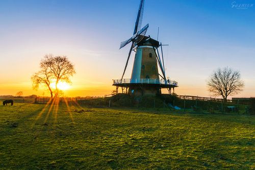 Kleurlijk zonsondergang dichtbij molen
