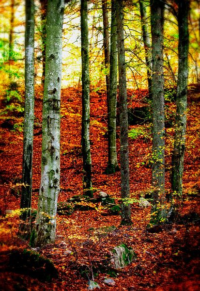 Bare tree trunks. by Karl Andrén