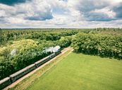 Stoomtrein met rook van de locomotief rijdt door het landschap van Sjoerd van der Wal Fotografie thumbnail