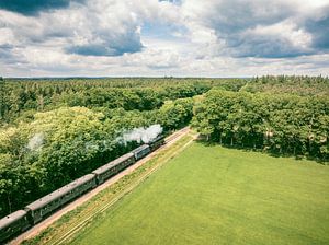 Stoomtrein met rook van de locomotief rijdt door het landschap van Sjoerd van der Wal Fotografie