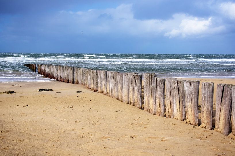 Strand-1 par Jan Meijer