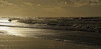 Texel - Surfen