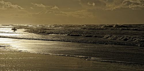 Texel - Surfen