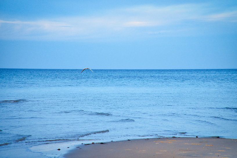 Op het zandstrand van de Oostzeekust van Martin Köbsch