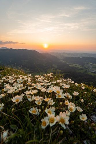 Bloemrijke zonsondergang bij Sorgschrofen